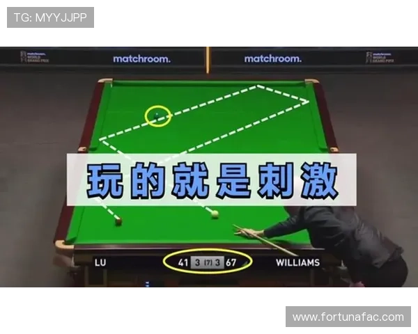 解决U体育在线地址无法访问问题的实用技巧，确保玩家顺利进入游戏世界